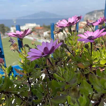 דירה Sea&skyview *