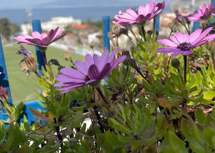 Apartamento Sea&skyview *